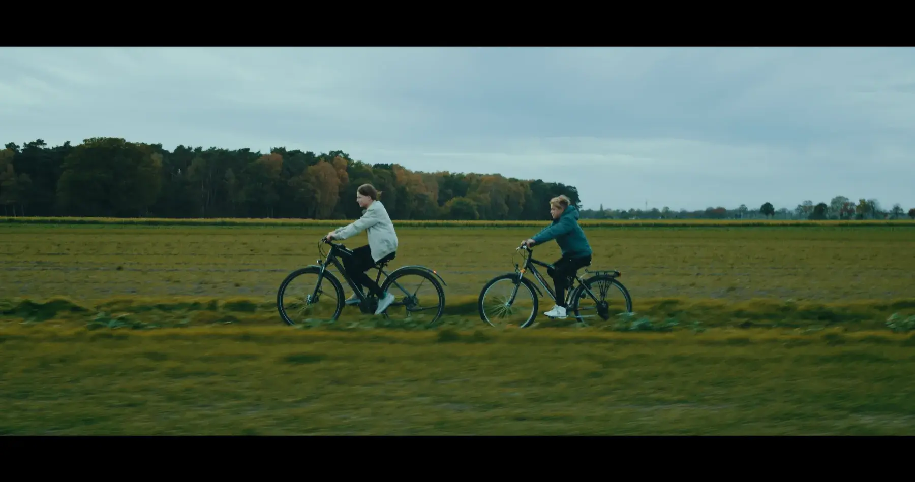 Editing & Color Grading